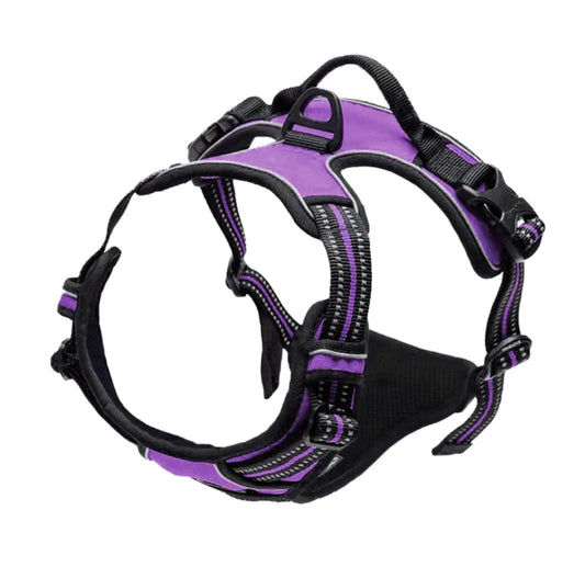 Reflective Anti-Shock Safety Vest for Dogs